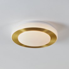 Eglo - LED Kúpeľňové stropné svietidlo LED/10,8W/230V IP44