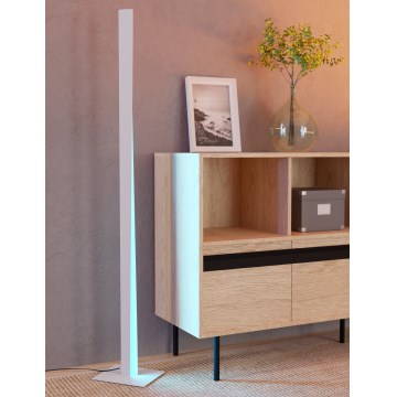 Eglo - LED RGBW Stmievateľná stojacia lampa LED/10,5W/230V + LED/15,2W 2700-6500K sivá