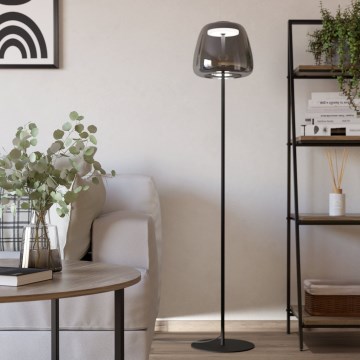 Eglo - LED RGBW Stmievateľná stojacia lampa LED/15,5W/230V 2700-6500K dymová