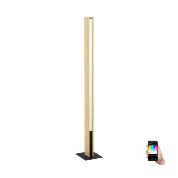 Eglo - LED RGBW Stmievateľná stojacia lampa LED/35W/230V 2700-6500K