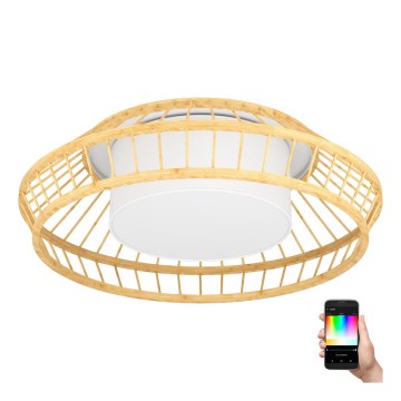Eglo - LED RGBW Stmievateľné stropné svietidlo LED/22W/230V 2700-6500K