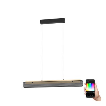 Eglo - LED RGBW Stmievateľný luster na lanku LED/34W/230V 2700-6500K