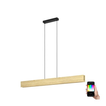 Eglo - LED RGBW Stmievateľný luster na lanku LED/35W/230V 2700-6500K