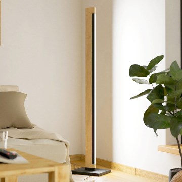 Eglo - LED Stmievateľná dotyková stojacia lampa CAMACHO LED/22W/230V