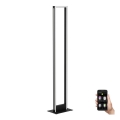 Eglo - LED Stmievateľná stojacia lampa LED/33W/230V 2700-6500K