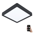 Eglo - LED stmievateľné kúpeľňové stropné svietidlo LED/16,5W/230V IP44 ZigBee 21x21 cm