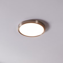 Eglo - LED Stmievateľné kúpeľňové stropné svietidlo LED/19,5W/230V 2700-6500K IP44 ZigBee