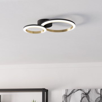 Eglo - LED Stmievateľné stropné svietidlo LED/12W/230V 4000K čierna/zlatá