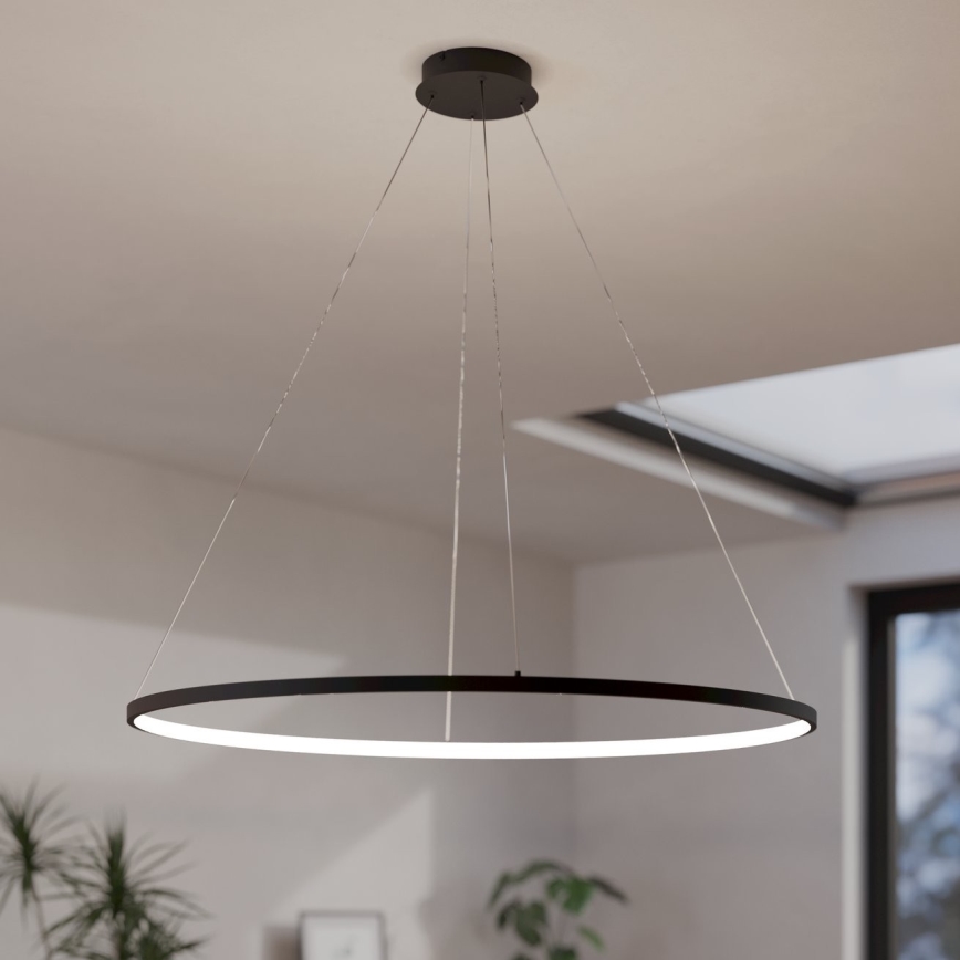 Eglo - LED Stmievateľný luster na lanku LED/40W/230V 2700-6500K čierna + diaľkové ovládanie