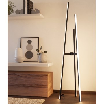 Eglo - LED stojacia lampa LED/30W/230V čierna