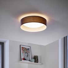 Eglo - LED stropné svietidlo 1xLED/12W/230V