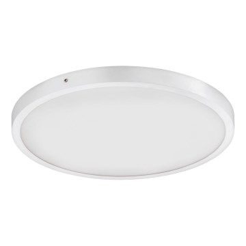 Eglo - LED Stropné svietidlo 1xLED/25W/230V biela okrúhly 4000K