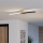 Eglo - LED Stropné svietidlo LED/12W/230V 4000K čierna
