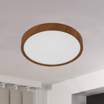 Eglo - LED Stropné svietidlo LED/14,6W/230V