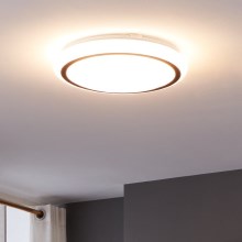 Eglo - LED Stropné svietidlo LED/14,6W/230V