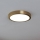 Eglo - LED Stropné svietidlo LED/17W/230V pr. 21 cm