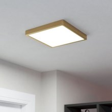 Eglo - LED Stropné svietidlo LED/20,5W/230V