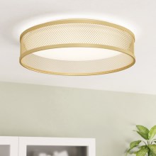 Eglo - LED Stropné svietidlo LED/20W/230V zlatá
