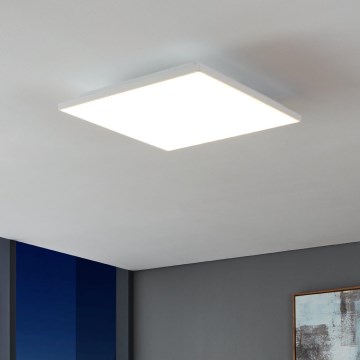 Eglo - LED Stropné svietidlo LED/21W/230V