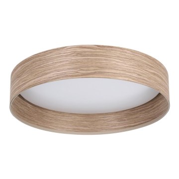 Eglo - LED Stropné svietidlo LED/24W/230V