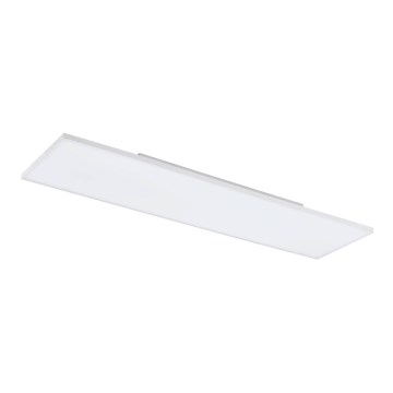 Eglo - LED Stropné svietidlo LED/31,5W/230V