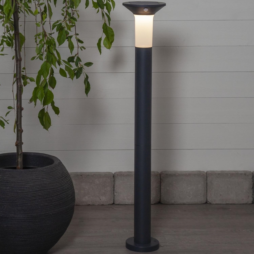 Eglo - LED Vonkajšia solárna lampa so senzorom 6xLED/0,03W/3,7V 1500 mAh IP44