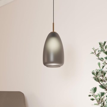 Eglo - Luster na lanku 1xE27/40W/230V