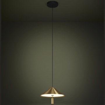 Eglo Stars of Light - LED Luster na lanku LED/12W/230V 3000K zlatá