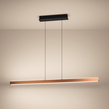 Eglo Stars of Light - LED stmievateľný luster na lane LED/30W/230V 2200-6500K zlatá + diaľkové ovládanie