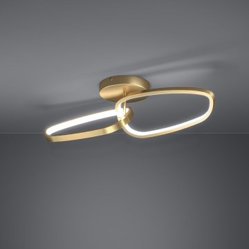 Eglo Stars of Light - LED Stmievateľný prisadený luster LED/25W/230V 3000K zlatá