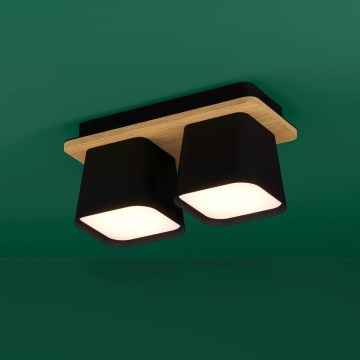 Eglo Stars of Light - Stropné svietidlo 2xE27/40W/230V čierna/hnedá