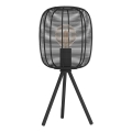 Eglo - Stolná lampa 1xE27/40W/230V