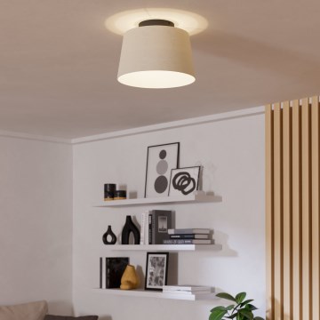 Eglo - Stropné svietidlo 1xE27/60W/230V biela
