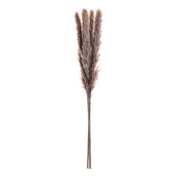 Eglo - Sušený kvet 60 cm fialová