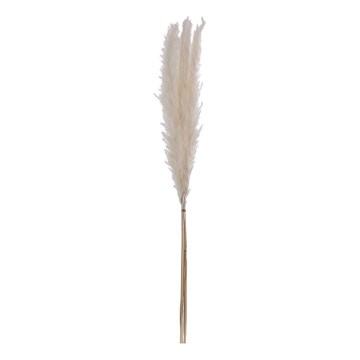 Eglo - Sušený kvet 70 cm biela