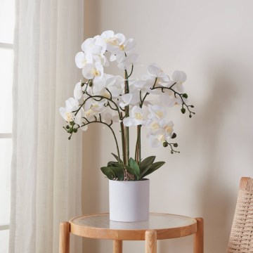 Eglo - Umelá rastlina v kvetináči 65x50 cm orchidea