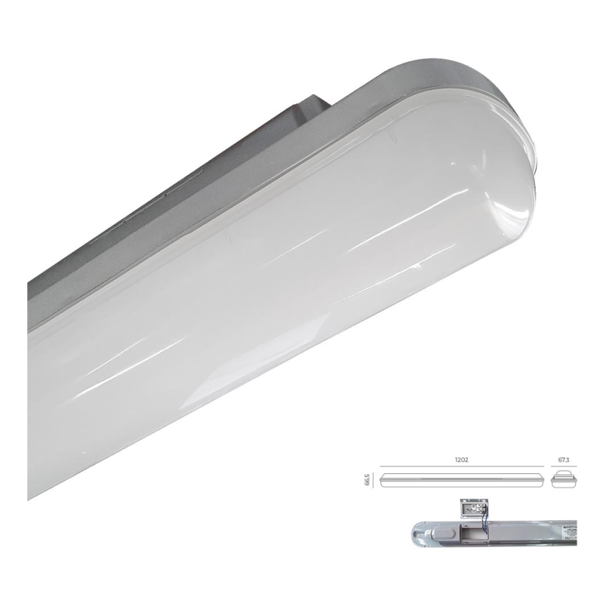 Emithor 31602 - LED Technické svietidlo ELMINA LED/36W/230V IP65