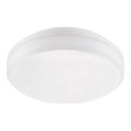Emithor 63206 - LED technické stropné svietidlo SURFACE LED/20W/230V IP65