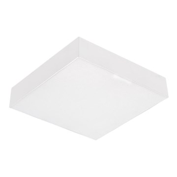 Emithor 63217 - LED stropné svietidlo SURFACE LED/20W/230V