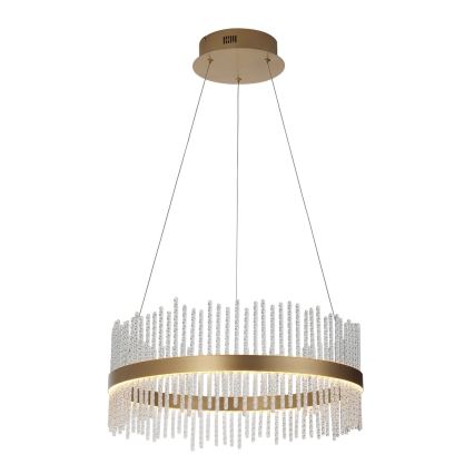 Endon 107671 - LED Stmievateľný luster na lanku ADRIEL LED/41W/230V 3000K pr. 51 cm zlatá/číra