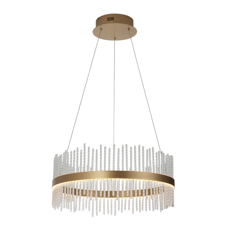 Endon 107671 - LED Stmievateľný luster na lanku ADRIEL LED/41W/230V 3000K pr. 51 cm zlatá/číra