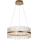 Endon 107671 - LED Stmievateľný luster na lanku ADRIEL LED/41W/230V 3000K pr. 51 cm zlatá/číra