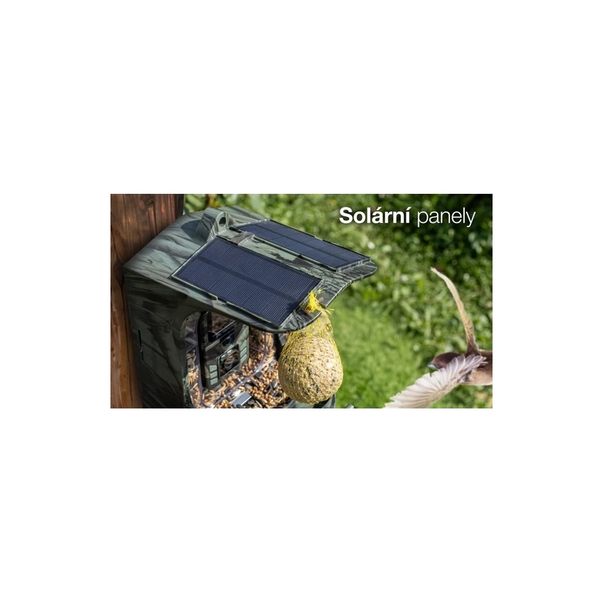 Evolveo - StrongVision BirdFeeder - inteligentné kŕmidlo pre vtáky s kamerou a solárnymi panelmi
