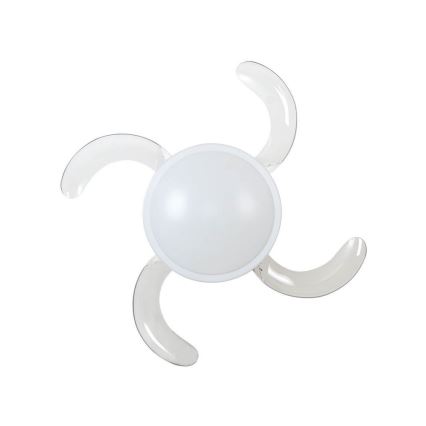 Lucci Air 212980 - Stropný ventilátor FANAWAY EVORA 2xE27/15W/230V
