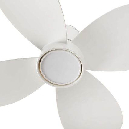 FARO 34315WT - LED Stmievateľný stropný ventilátor KLOVER TUB S LED/20W/230V 2700/4000/6500K biela pr. 80 cm Wi-Fi Tuya + diaľkové ovládanie