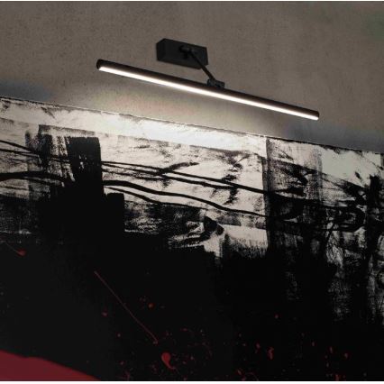 FARO 61088 - LED Obrazové svietidlo MARGITTE LED/12W/230V čierna