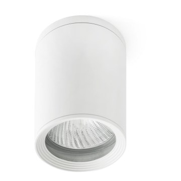 FARO 70821 - Vonkajšie bodové svietidlo TASA PAR30 1xE27/75W/230V IP44