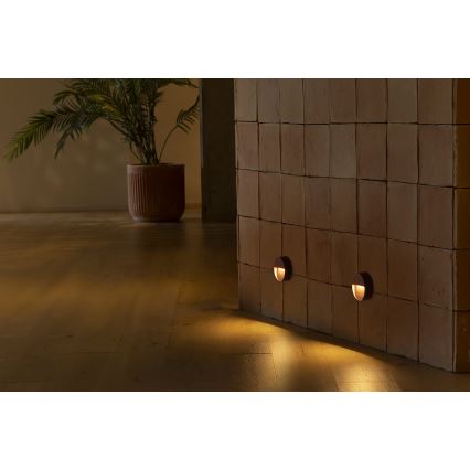 FARO 71962 - LED schodiskové svietidlo DUNE LED/3W/230V 2200/2700/3200/4000K IP65 hnedé guľaté