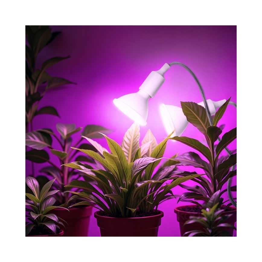 Flexibilná stolná lampa s klipom na pestovanie rastlín PLANTY 2xE27/30W/230V biela