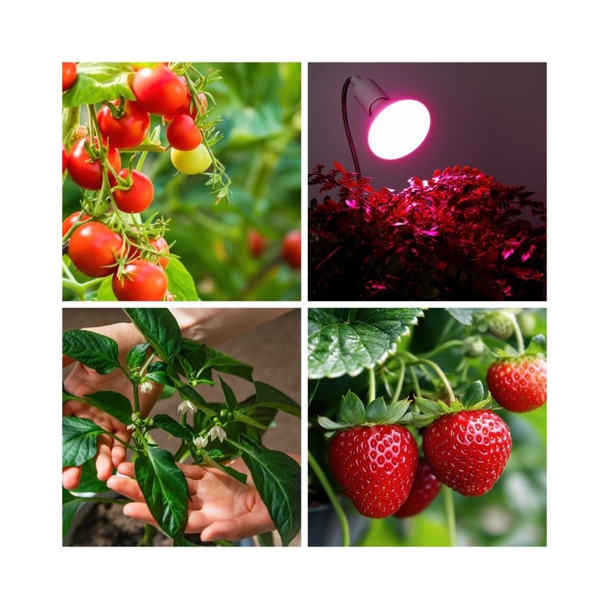 Flexibilná stolná lampa s klipom na pestovanie rastlín PLANTY 1xE27/30W/230V biela